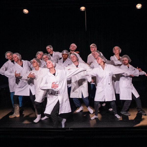Section Théâtre-Études de l’INSA