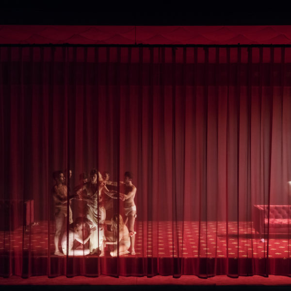 Préambule / La Dame aux camélias