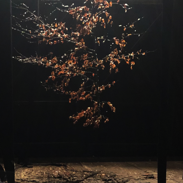 Bord de scène / Nostalgie 2175