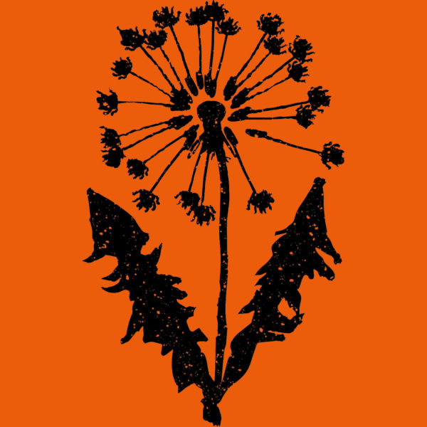 Table ronde « Mémoires et Héritages » / Amer M. et Colette B.