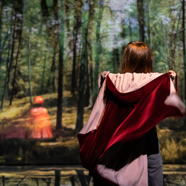 Le Petit Chaperon rouge