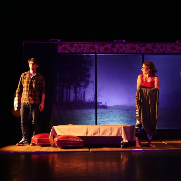 Trois petits cochons